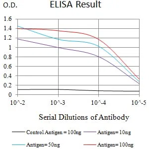 CD182 Mouse Monoclonal Antibody - Size: 50µl