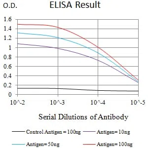 CD213A1 Mouse Monoclonal Antibody - Size: 100µl
