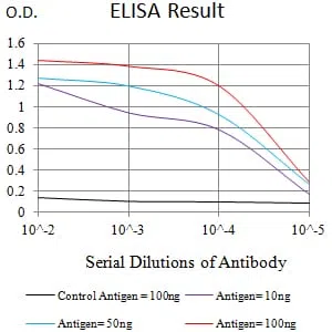 CD243 Mouse Monoclonal Antibody - Size: 50µl