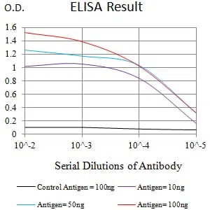 CD370 Mouse Monoclonal Antibody - Size: 50µl