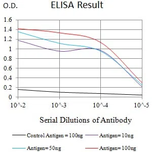 LRP12 Mouse Monoclonal Antibody - Size: 50µl