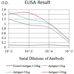 CD158D Mouse Monoclonal Antibody - Size: 100µl