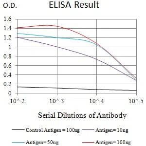 LRP1B Mouse Monoclonal Antibody - Size: 50µl