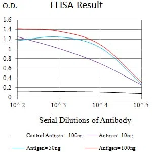 CD307B Mouse Monoclonal Antibody - Size: 100µl