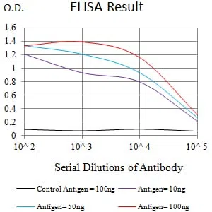 CD132 Mouse Monoclonal Antibody - Size: 50µl