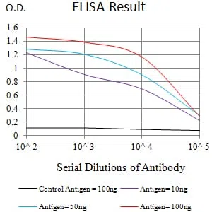 CD172G Mouse Monoclonal Antibody - Size: 50µl