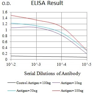 ATXN1 Mouse Monoclonal Antibody - Size: 50µl