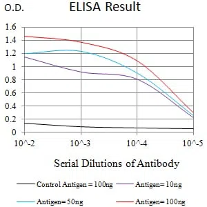 CD307C Mouse Monoclonal Antibody - Size: 100µl