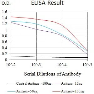 CD369 Mouse Monoclonal Antibody - Size: 100µl