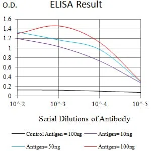 CD239 Mouse Monoclonal Antibody - Size: 50µl