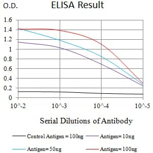 EHMT2 Mouse Monoclonal Antibody - Size: 50µl