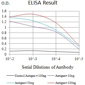 KAT2B Mouse Monoclonal Antibody - Size: 100µl