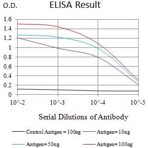 NFKB2 Mouse Monoclonal Antibody - Size: 50µl