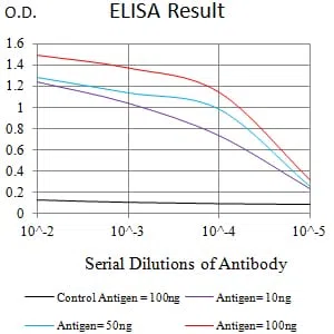 NFKB2 Mouse Monoclonal Antibody - Size: 50µl