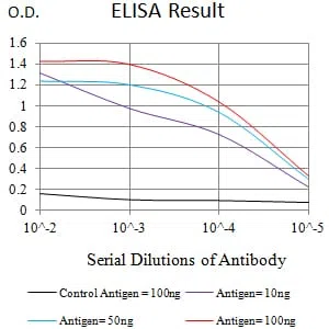 SATB2 Mouse Monoclonal Antibody - Size: 50µl