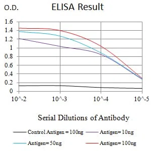 CTNNBL1 Mouse Monoclonal Antibody - Size: 100µl