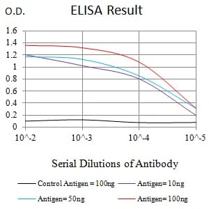 RBFOX2 Mouse Monoclonal Antibody - Size: 100µl