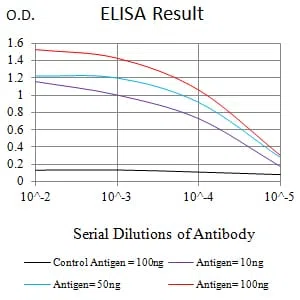 CD307E Mouse Monoclonal Antibody - Size: 100µl