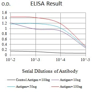 EZH1 Mouse Monoclonal Antibody - Size: 100µl