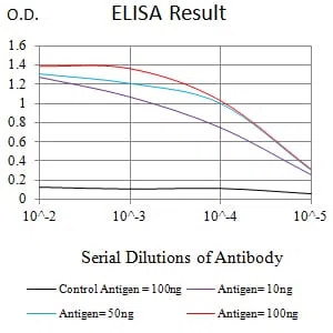 CD283 Mouse Monoclonal Antibody - Size: 100µl