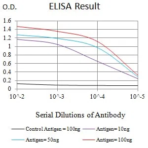 KMT2C Mouse Monoclonal Antibody - Size: 100µl