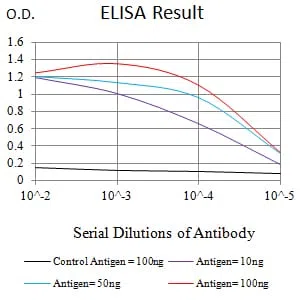 ACSS1 Mouse Monoclonal Antibody - Size: 50µl