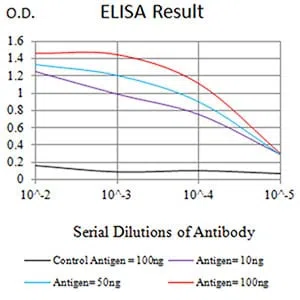 IDH2 Mouse Monoclonal Antibody - Size: 100µl