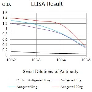 SETD7 Mouse Monoclonal Antibody - Size: 100µl