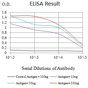 NR2C2 Mouse Monoclonal Antibody - Size: 100µl