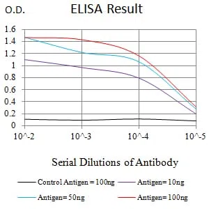 SMYD2 Mouse Monoclonal Antibody - Size: 100µl