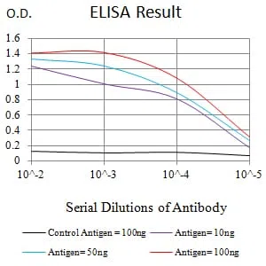 FADD Mouse Monoclonal Antibody - Size: 100µl