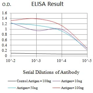 CD369 Mouse Monoclonal Antibody - Size: 50µl