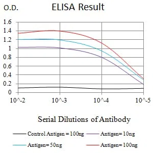 IDH2 Mouse Monoclonal Antibody - Size: 100µl