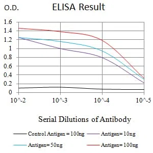DFFA Mouse Monoclonal Antibody - Size: 100µl