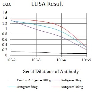 WDFY3 Mouse Monoclonal Antibody - Size: 50µl