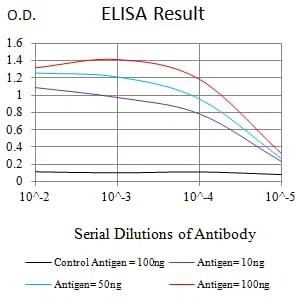 YWHAQ Mouse Monoclonal Antibody - Size: 100µl