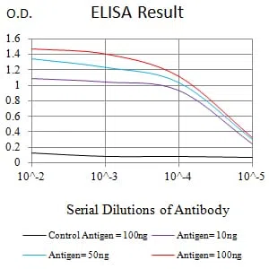 PINK1 Mouse Monoclonal Antibody - Size: 50µl