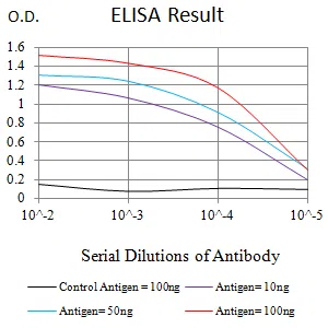 AMBRA1 Mouse Monoclonal Antibody - Size: 50µl