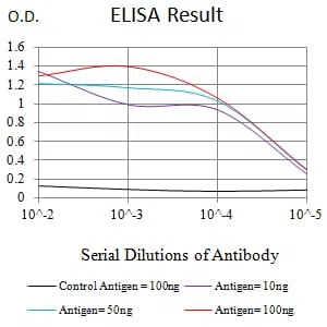ATG4B Mouse Monoclonal Antibody - Size: 100µl