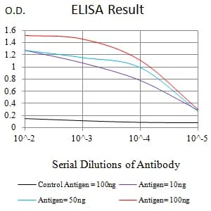 KRT19 Mouse Monoclonal Antibody - Size: 100µl
