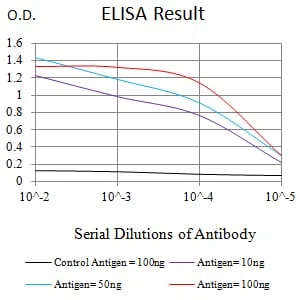 COL3A1 Mouse Monoclonal Antibody - Size: 100µl