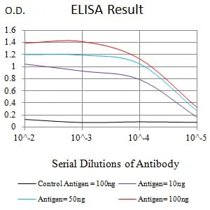 PMS2 Mouse Monoclonal Antibody - Size: 100µl