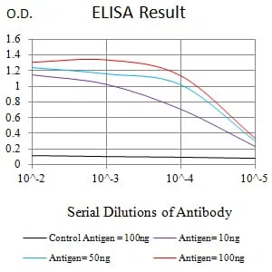 POLR2A Mouse Monoclonal Antibody - Size: 100µl