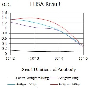 MSH2 Mouse Monoclonal Antibody - Size: 100µl