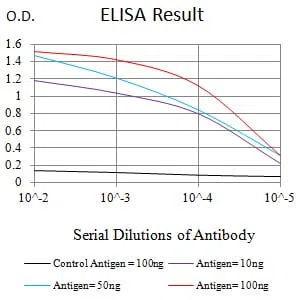 CNN3 Mouse Monoclonal Antibody - Size: 100µl