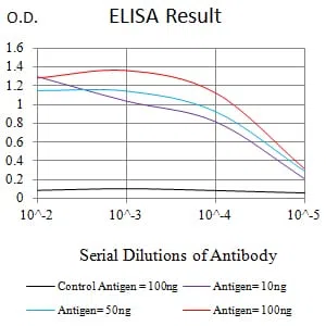 CNN3 Mouse Monoclonal Antibody - Size: 100µl