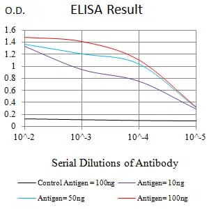TUBB3 Mouse Monoclonal Antibody - Size: 50µl