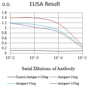 TOP2A Mouse Monoclonal Antibody - Size: 100µl