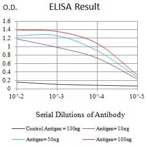 ACTA2 Mouse Monoclonal Antibody - Size: 100µl