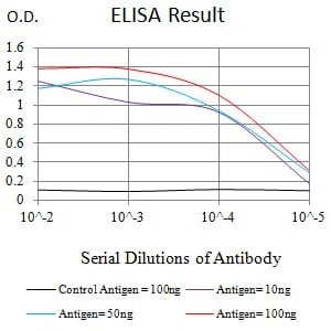 MUC2 Mouse Monoclonal Antibody - Size: 50µl